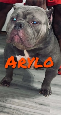 Arylo of (not available)