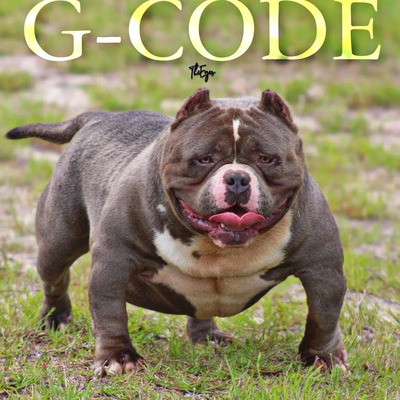 G-Code of 501 Bullies