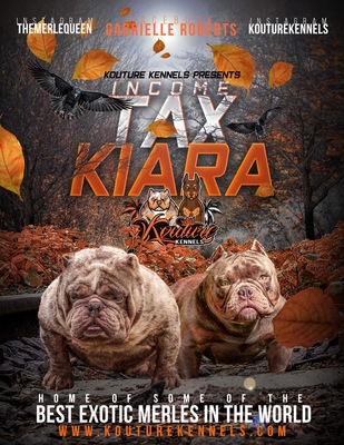 IncomeTax x Kiara of (not available)