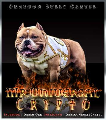 Mr.Universal Crypto of OBC of Orregon Bully Cartel