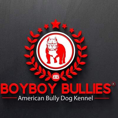 Precious X Barkley of BoyBoy Bullies