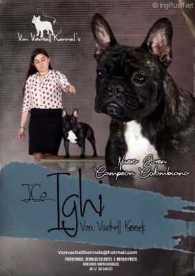 VON VACHELL KENNEL'S IGHI of (not available)