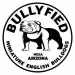 Bullyfieds Bulldogs