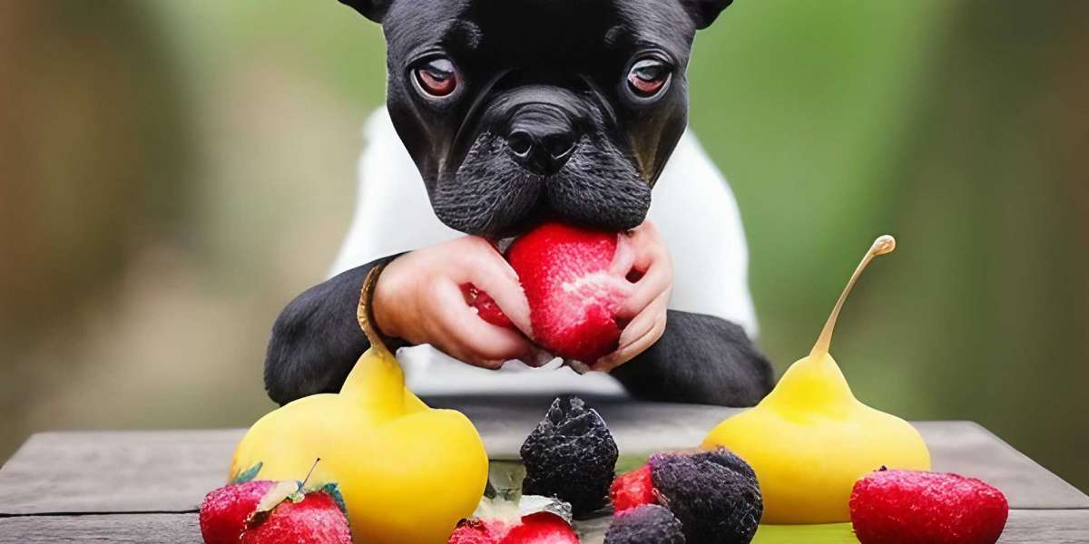 List of Safe Fruits You Can Feed Your French Bulldog