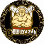 Bully 24k