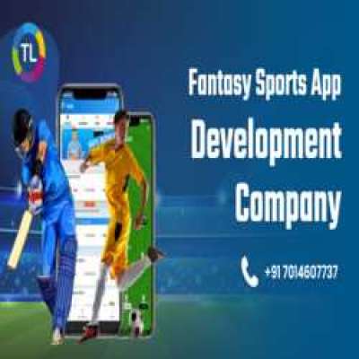 Fantasy Sports App Development Company - Technoloader Profile Picture